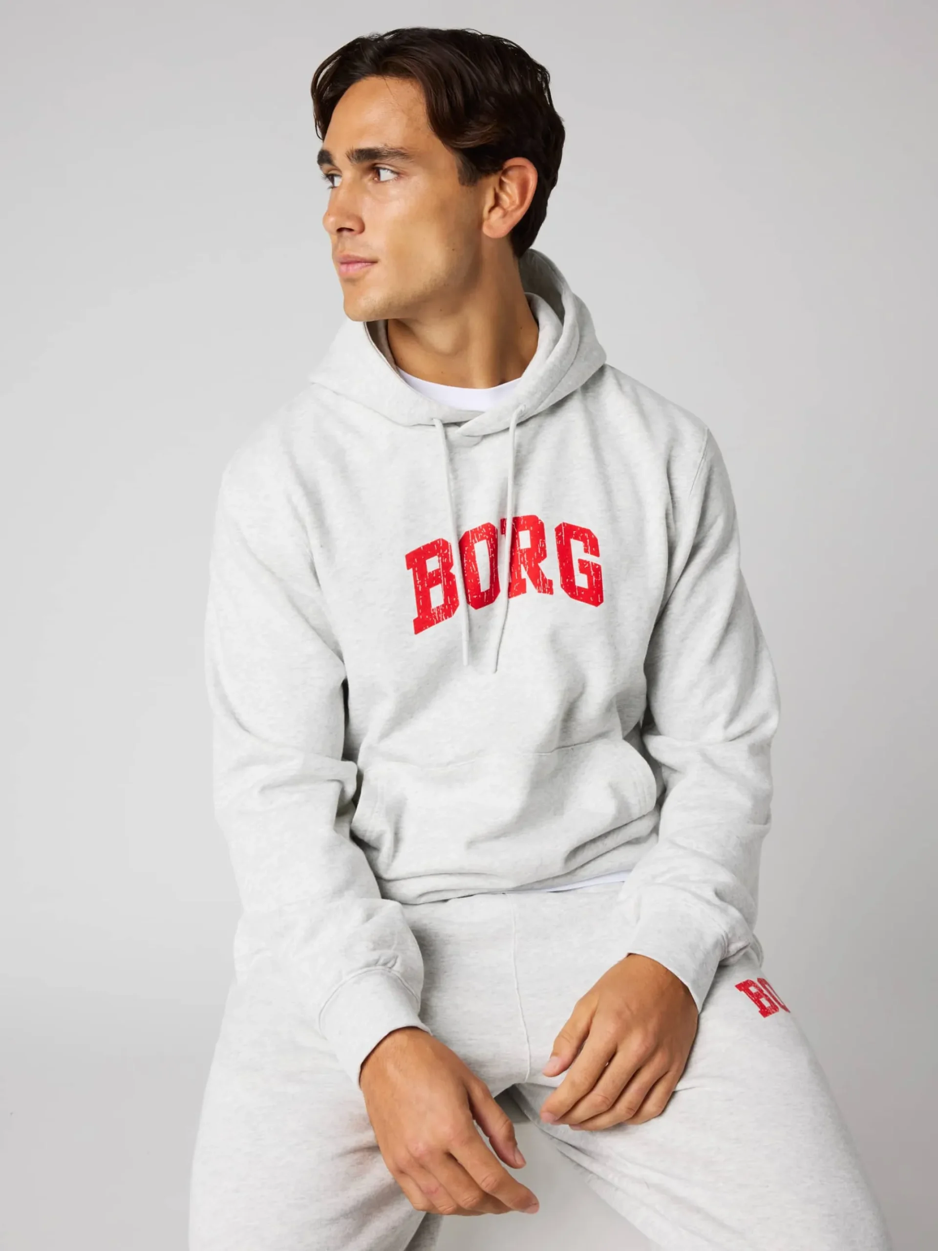Björn Borg Hoodies|Vardag & Loungewear * Borg Caic Print Hoodie Ultra Light Grey Melange