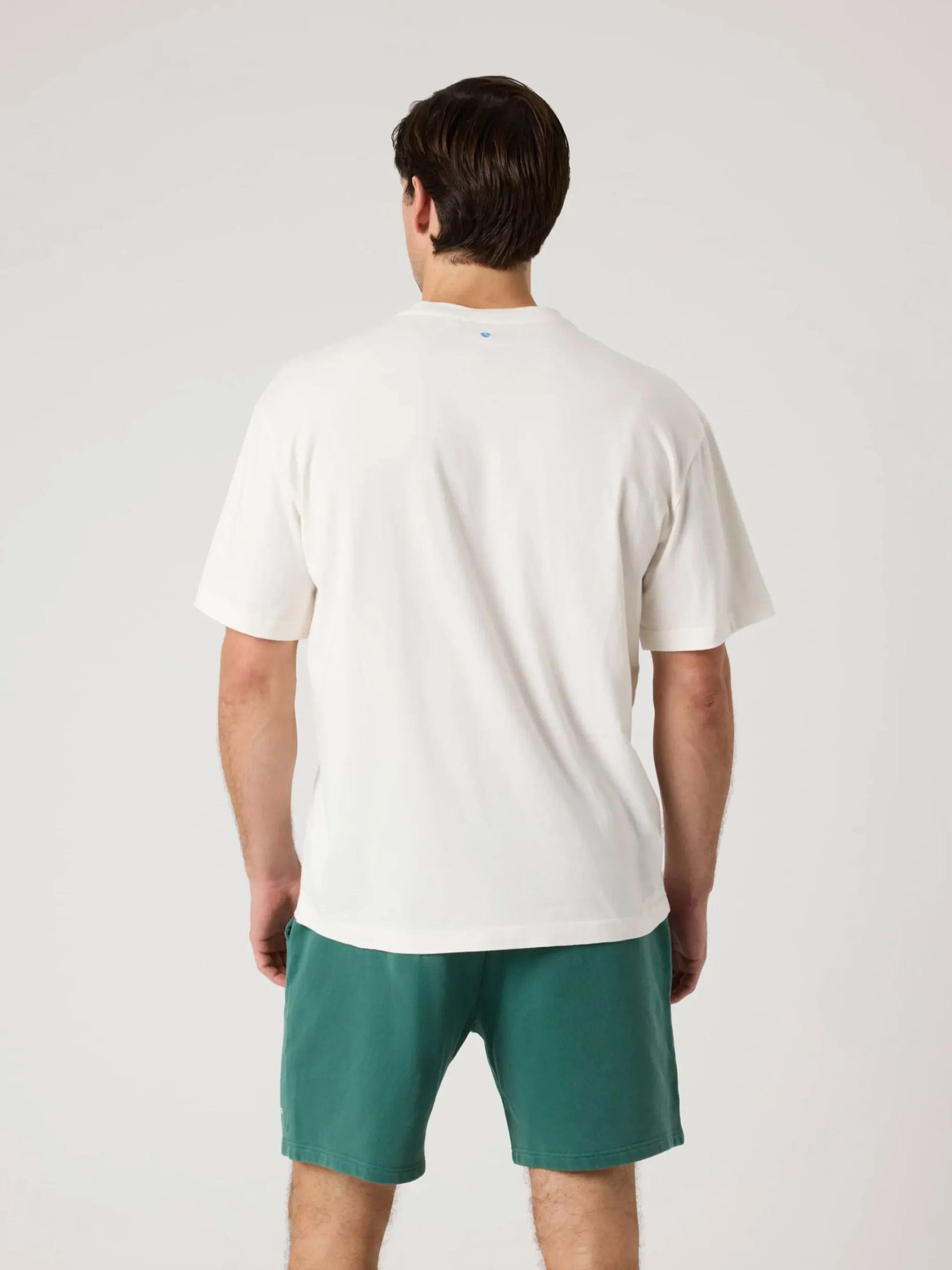 Björn Borg T-Shirts|Vardag & Loungewear * Borg Caic Print T-hirt Tofu