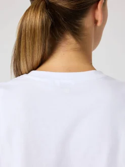 Björn Borg T-Shirts|Tennis & Padel * Borg Cotton T-hirt