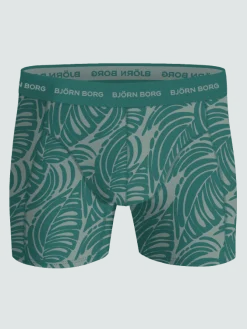 Björn Borg Boxers|Multipacks * Cotton tretch Boxer 7-pack