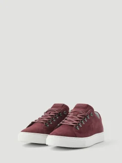 Björn Borg Sneakers|Sneakers * Men's Classic Suede D-Ring Sneakers Burgundy