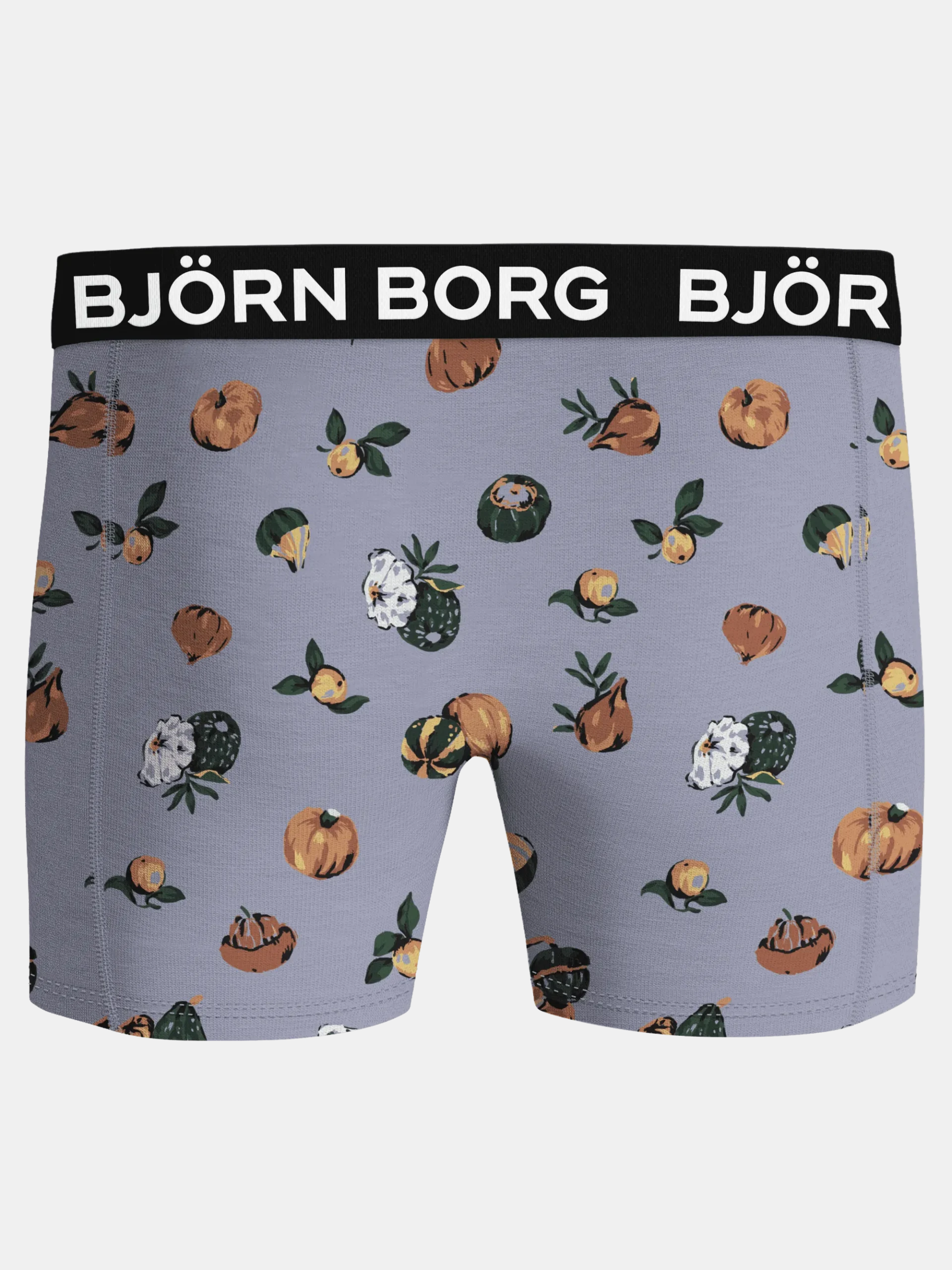 Björn Borg Boxers * icrofiber Boxer